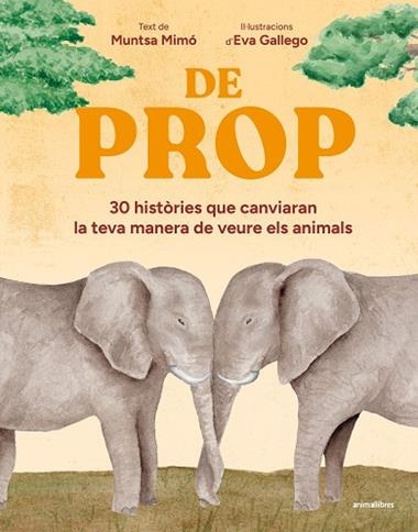 DE PROP | 9791387847548 | MUNTSA MIMO