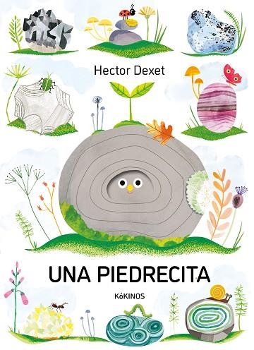 UNA PIEDRECITA | 9791387686406 | Hector Dexet