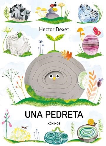 UNA PEDRETA | 9791387686413 | Hector Dexet