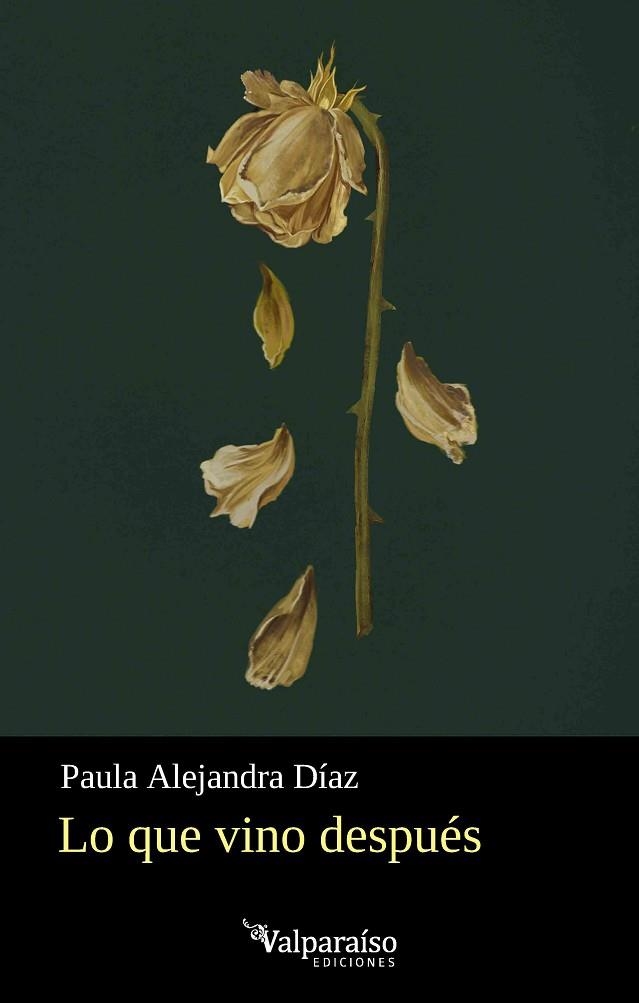 Lo que vino despues | 9791388007989 | PAULA ALEJANDRA DIAZ