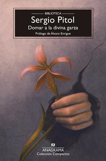 DOMAR A LA DIVINA GARZA | 9788433950987 | Sergio Pitol