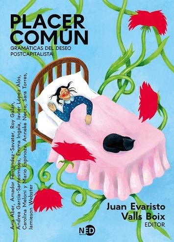 PLACER COMUN | 9788419407993 | VVAA