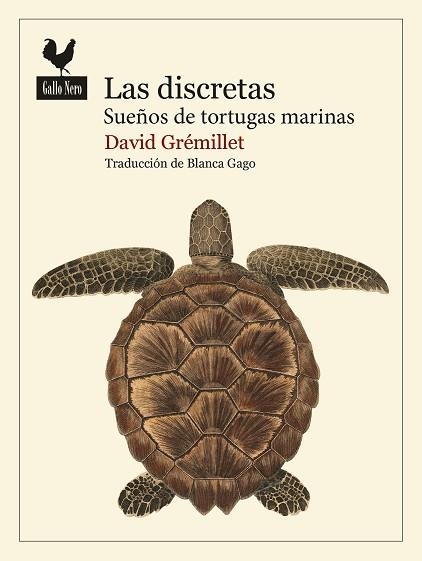 LAS DISCRETAS | 9788419168986 | David Gremillet