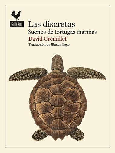 LAS DISCRETAS | 9788419168986 | David Gremillet