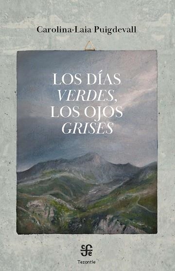 LOS DIAS VERDES LOS OJOS GRISES | 9788437508658 | CAROLINA LAIA PUIGDEVALL CLAVER