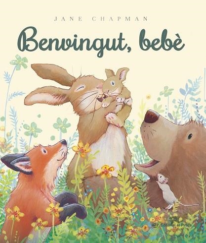 BENVINGUT BEBE | 9788419912640 | Jane Chapman