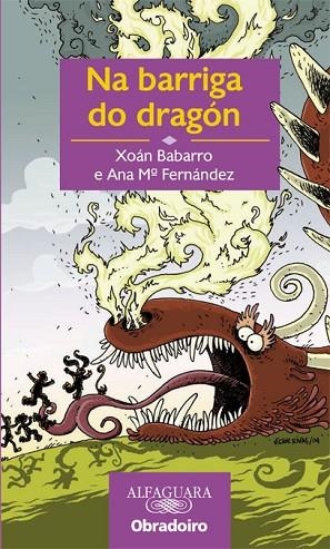NA BARRIGA DO DRAGON | 9788482244341 | BABARRO, XOAN / FERNANDEZ, ANA Mª
