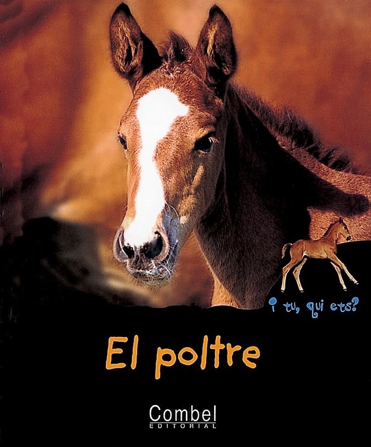 EL POLTRE | 9788478642151 | MARIE, CHRISTIAN