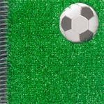 BOJOS PEL FUTBOL | 9788424620547 | MORTIMER, GAVIN/COOPER, JOHN