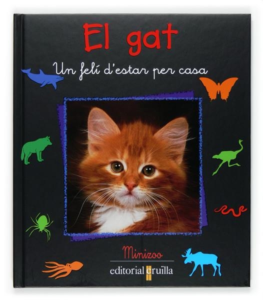 EL GAT | 9788466114240 | STEPHANE FRATTINI