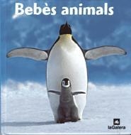 BEBES ANIMALS | 9788424624972 | VARIS