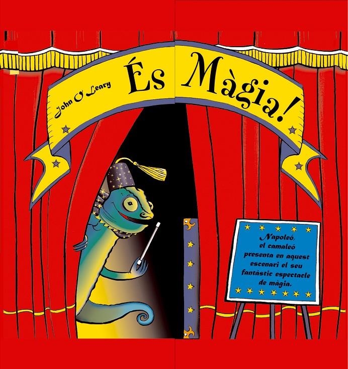 ES MAGIA | 9788498252163 | LEARY, JOHN V