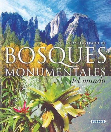 BOSQUES MONUMENTALES DEL MUNDO | 9788430560882 | VV.AA