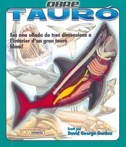 OBRE TAURO | 9788430569045 | GORDON, DAVID GEORGE
