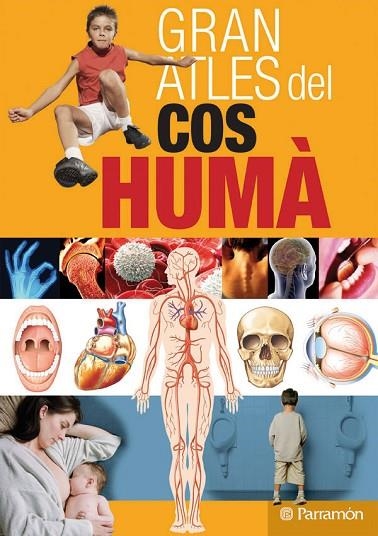 GRAN ATLES DEL COS HUMA | 9788434228795 | CASSAN, ADOLFO
