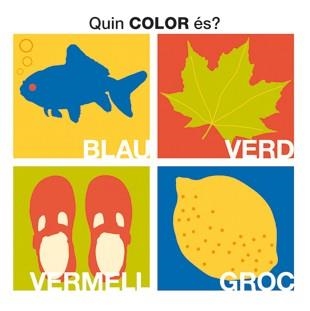 QUIN COLOR ES ? | 9788424636609 | VV.AA.